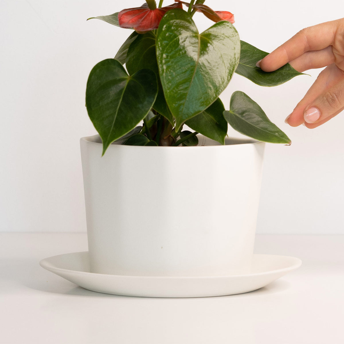 Geometric Oval Handmade Porcelain Planter — Silk White